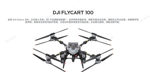 大疆機巢價格解析與運載機FC30配置概述，兼談信息技術咨詢服務